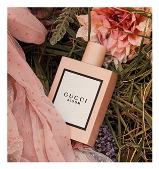 Gucci Gucci